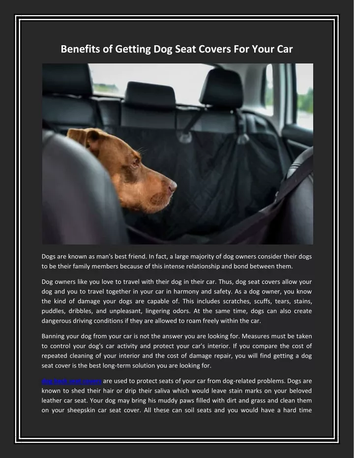 benefits of getting dog seat covers for your car