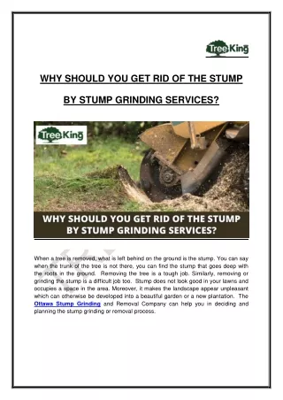 WHY SHOULD YOU GET RID OF THE STUMP BY STUMP GRINDING SERVICES