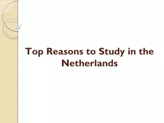 Top Reasons to Study in the Netherlands