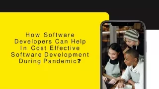 how software developers can help in cost