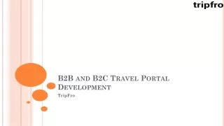 B2B and B2C Travel Portal Development