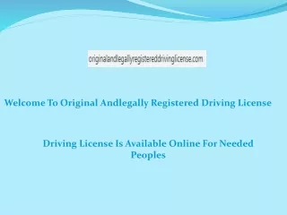 Driving License Is Available Online For Needed Peoples