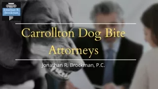 Carrollton Dog Bite Lawyers