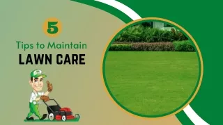 5 Tips to Maintain Lawn Care