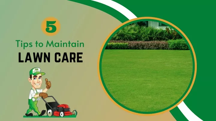 tips to maintain lawn care