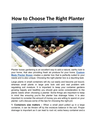 how to choose the right planter