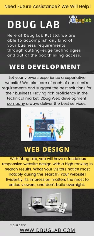 Hire Top Leading Result Driven Web  Development Company | Dbug Lab