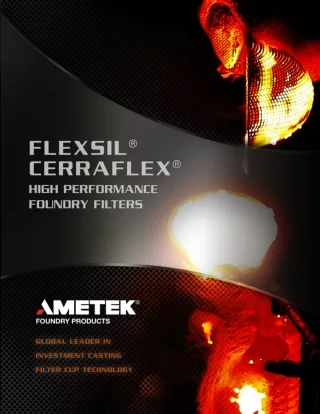 Flexsil- AMETEK FPP
