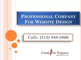 Professional Company For Website Design