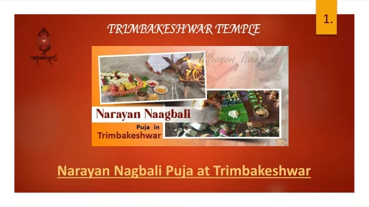 narayan nagbali puja at trimbakeshwar