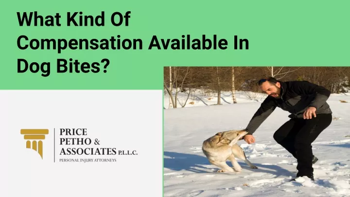 what kind of compensation available in dog bites