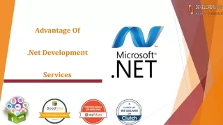 Advantage Of .Net Development Services