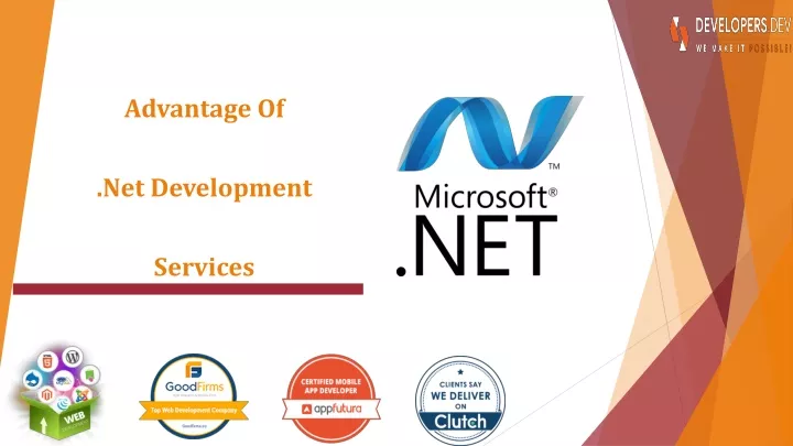 advantage of net development services