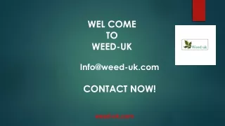 Buy Marijuana Concentrates UK