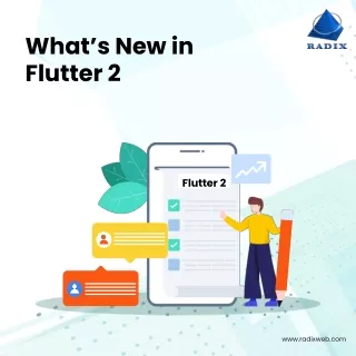 what s new in flutter 2