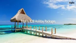 B2B Holiday Packages- TripFro