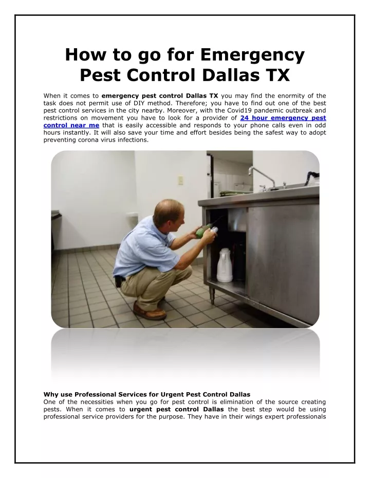how to go for emergency pest control dallas tx