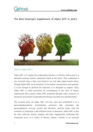 The Best Nootropic Supplement of Alpha GPC in 2021
