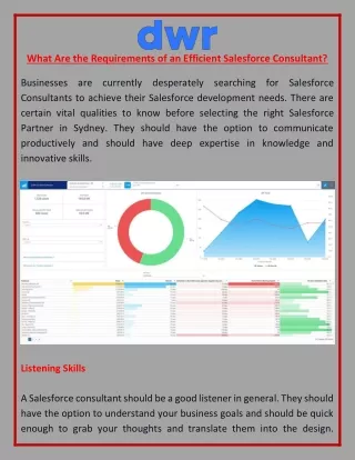 What Are the Requirements of an Efficient Salesforce Consultant