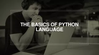 the basics of python language