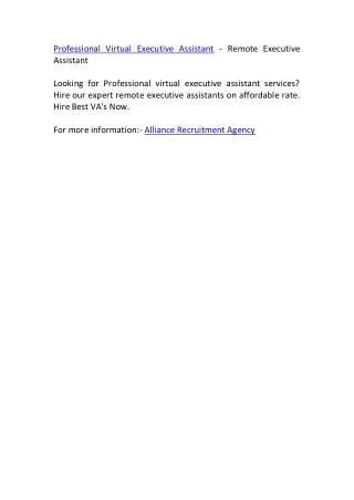 professional virtual executive assistant remote