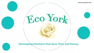 Web Development Company, Digital Marketing Agency - Eco York