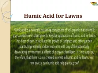 Humic Acid for Lawns