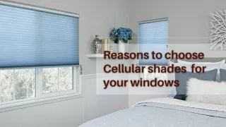 Reasons to choose Cellular shades for your windows