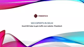 SEO Experts in Delhi