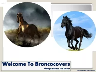 Vintage Bronco Tire Cover