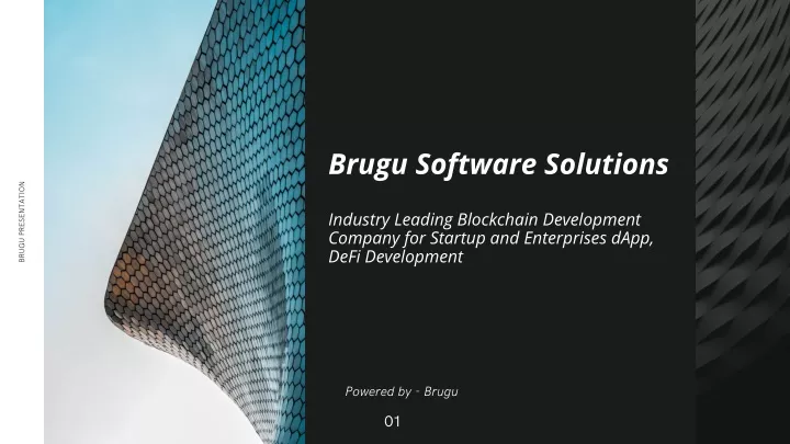 brugu software solutions industry leading