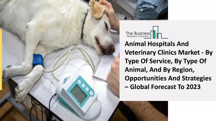 animal hospitals and veterinary clinics market