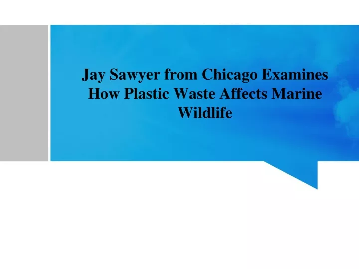 jay sawyer from chicago examines how plastic waste affects marine wildlife