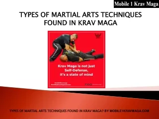 Types of Martial Arts Techniques Found in Krav Maga