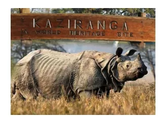 Amazing Facts about Kaziranga National Park