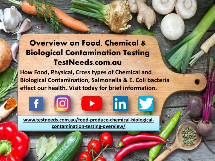 overview on food chemical biological