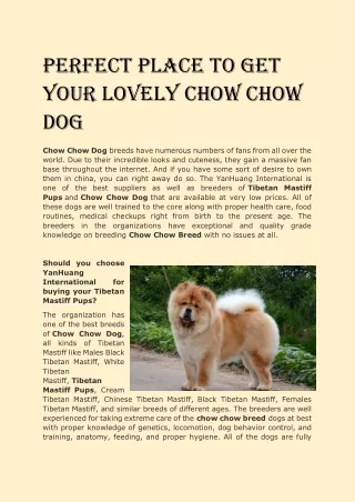 Perfect Place to Get Your Lovely Chow Chow Dog