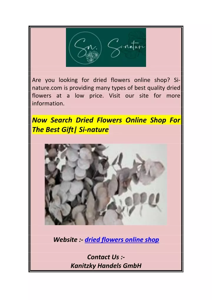 are you looking for dried flowers online shop