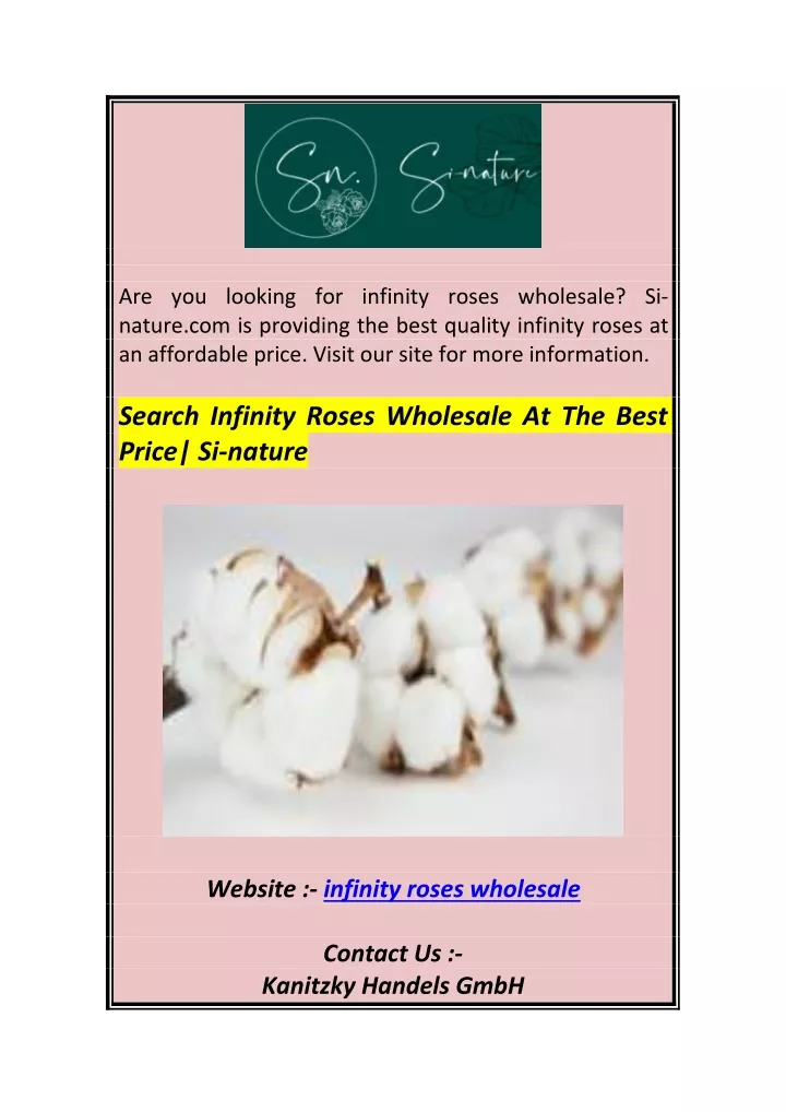are you looking for infinity roses wholesale