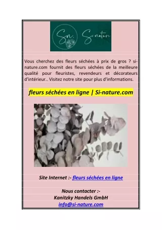 vous cherchez des fleurs s ch es prix de gros