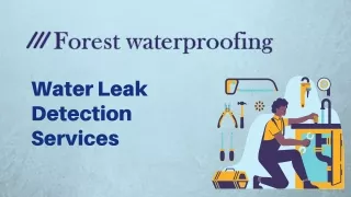 Water Leak Detection Services