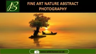 Fine Art Nature Abstract Photography