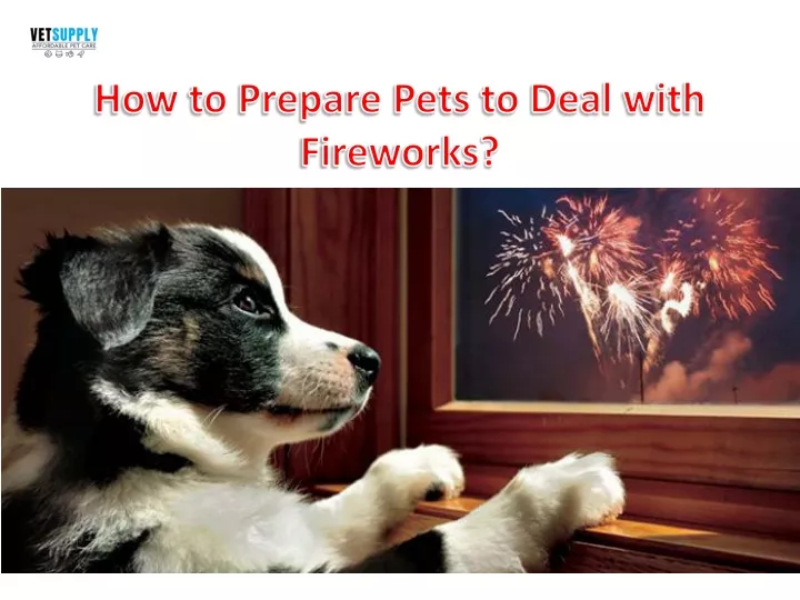 how to prepare pets to deal with fireworks