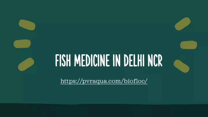 fish medicine in delhi ncr