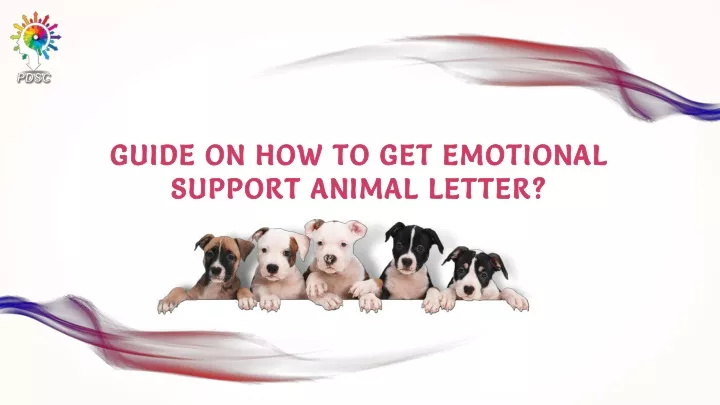 guide on how to get emotional support animal letter