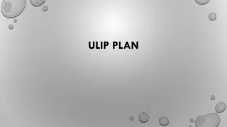 ulip plan