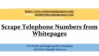 https www webscrapingexpert com email