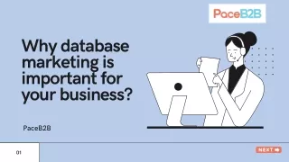 Why database marketing is important for your business