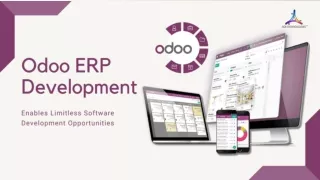 Odoo ERP Development