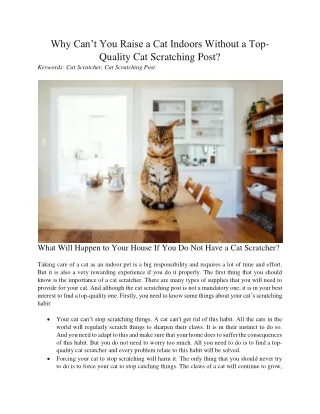why can t you raise a cat indoors without